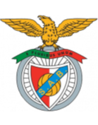 https://img.adlsgw.com/img/football/team/13d8d22b32e0803f939082416da63541.png